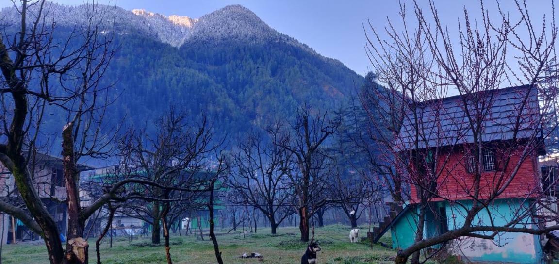 Hôtel The Royal Orchard Kasol Extérieur photo